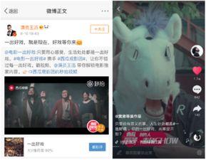 新瓜最新爆料资源视频,资源视频揭秘幕后真相  第3张